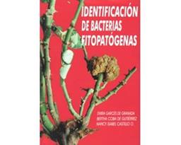 clic para ver más