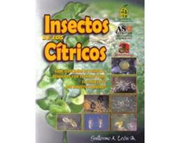 clic para ver más