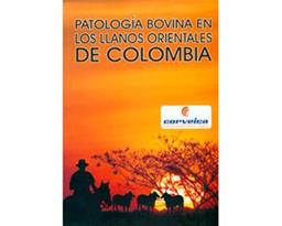 clic para ver más