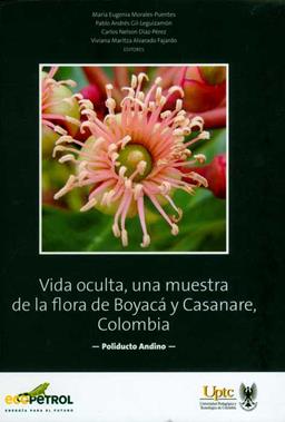 clic para ver más