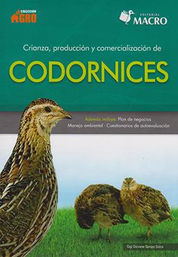 clic para ver más