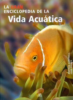 clic para ver más