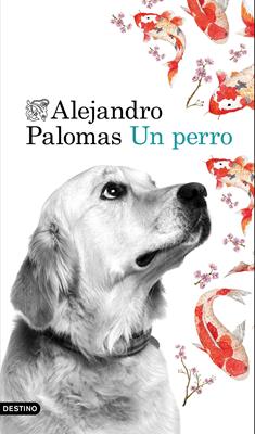clic para ver más