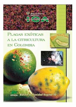 clic para ver más