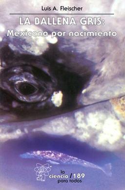 clic para ver más
