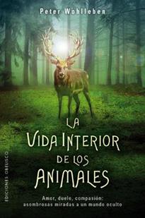 clic para ver más