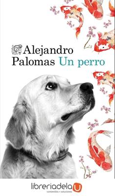clic para ver más