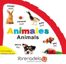 clic para ver más